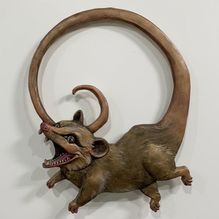 Opossum Wall Art